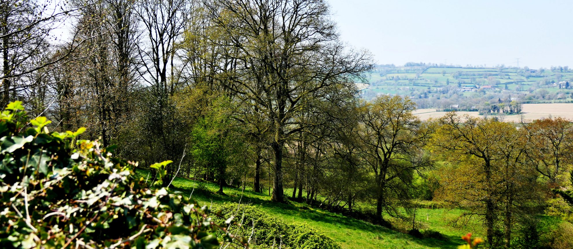 campagne montabolaise