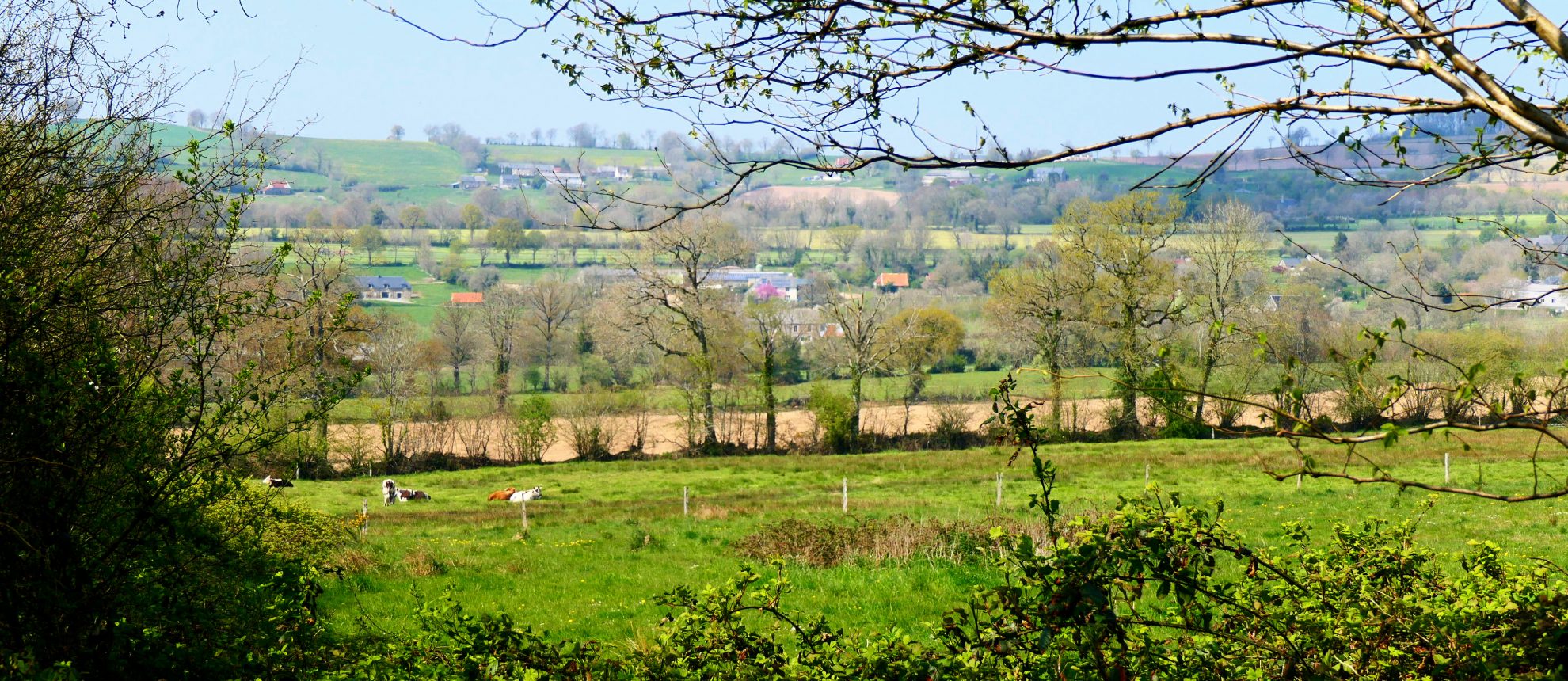 VUE-DEPUIS-BOIS-Montabot